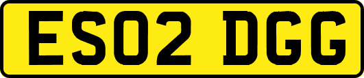 ES02DGG