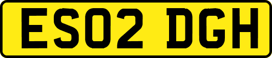 ES02DGH