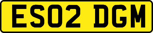 ES02DGM
