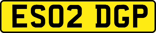 ES02DGP
