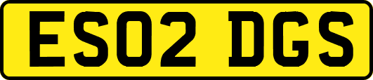 ES02DGS