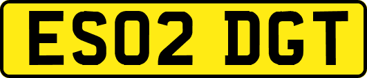ES02DGT