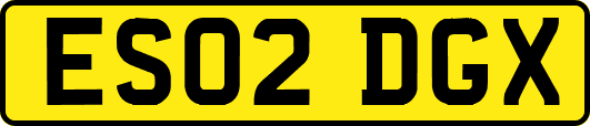 ES02DGX