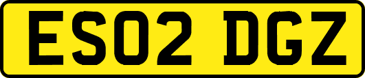 ES02DGZ