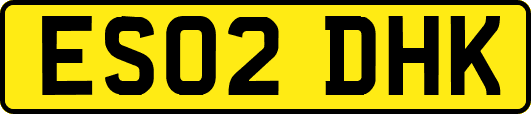 ES02DHK