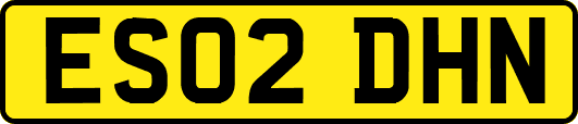 ES02DHN