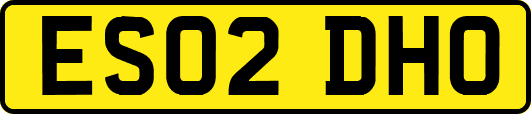 ES02DHO