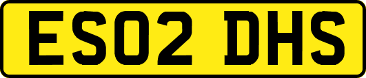 ES02DHS