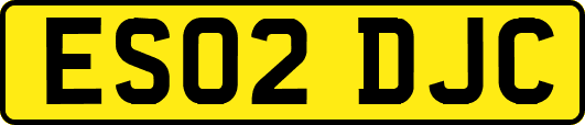 ES02DJC
