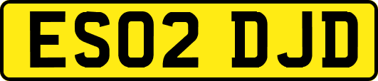 ES02DJD