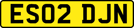 ES02DJN