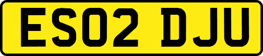 ES02DJU