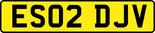 ES02DJV