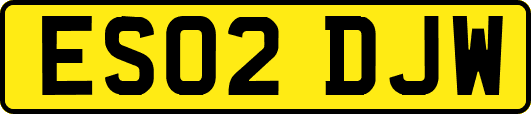 ES02DJW