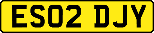 ES02DJY