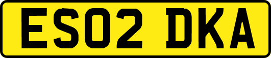 ES02DKA