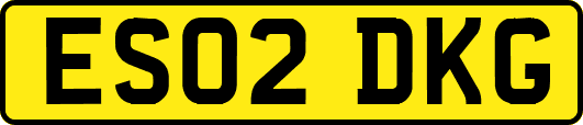 ES02DKG
