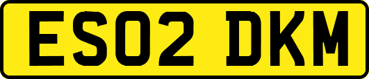 ES02DKM