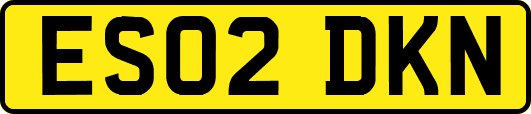 ES02DKN