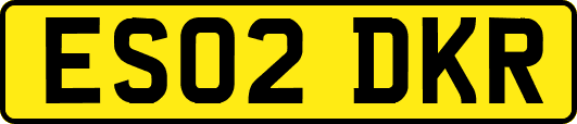 ES02DKR