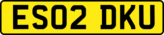 ES02DKU