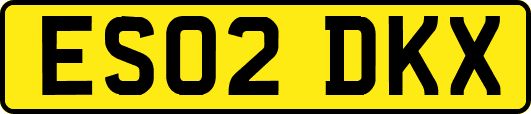 ES02DKX
