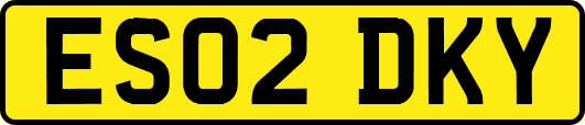 ES02DKY
