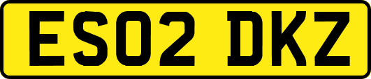 ES02DKZ