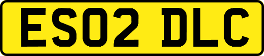 ES02DLC
