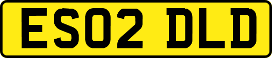 ES02DLD
