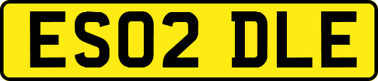 ES02DLE