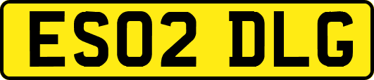 ES02DLG