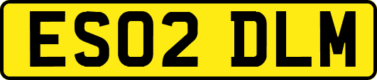 ES02DLM