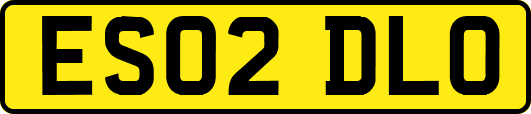 ES02DLO