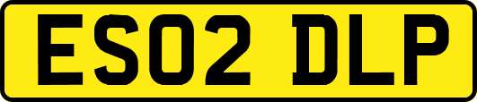 ES02DLP