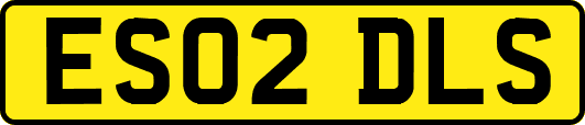 ES02DLS