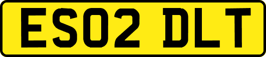 ES02DLT