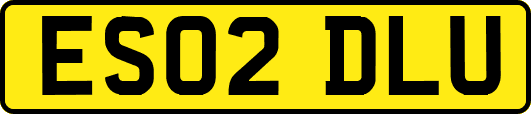 ES02DLU
