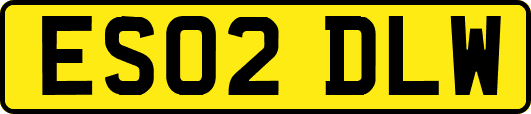 ES02DLW
