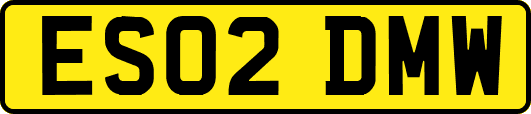 ES02DMW