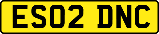 ES02DNC