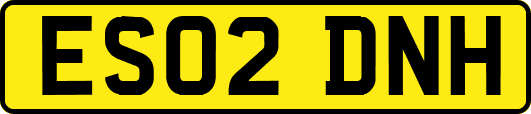 ES02DNH