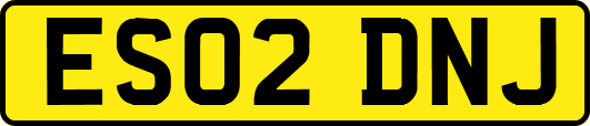ES02DNJ