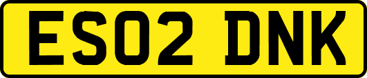 ES02DNK