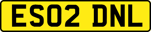 ES02DNL