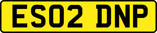 ES02DNP