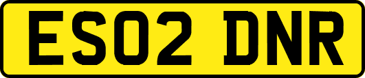 ES02DNR