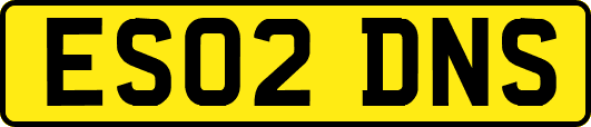 ES02DNS