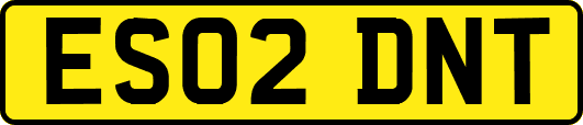 ES02DNT