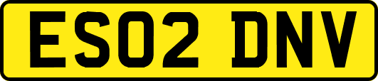 ES02DNV